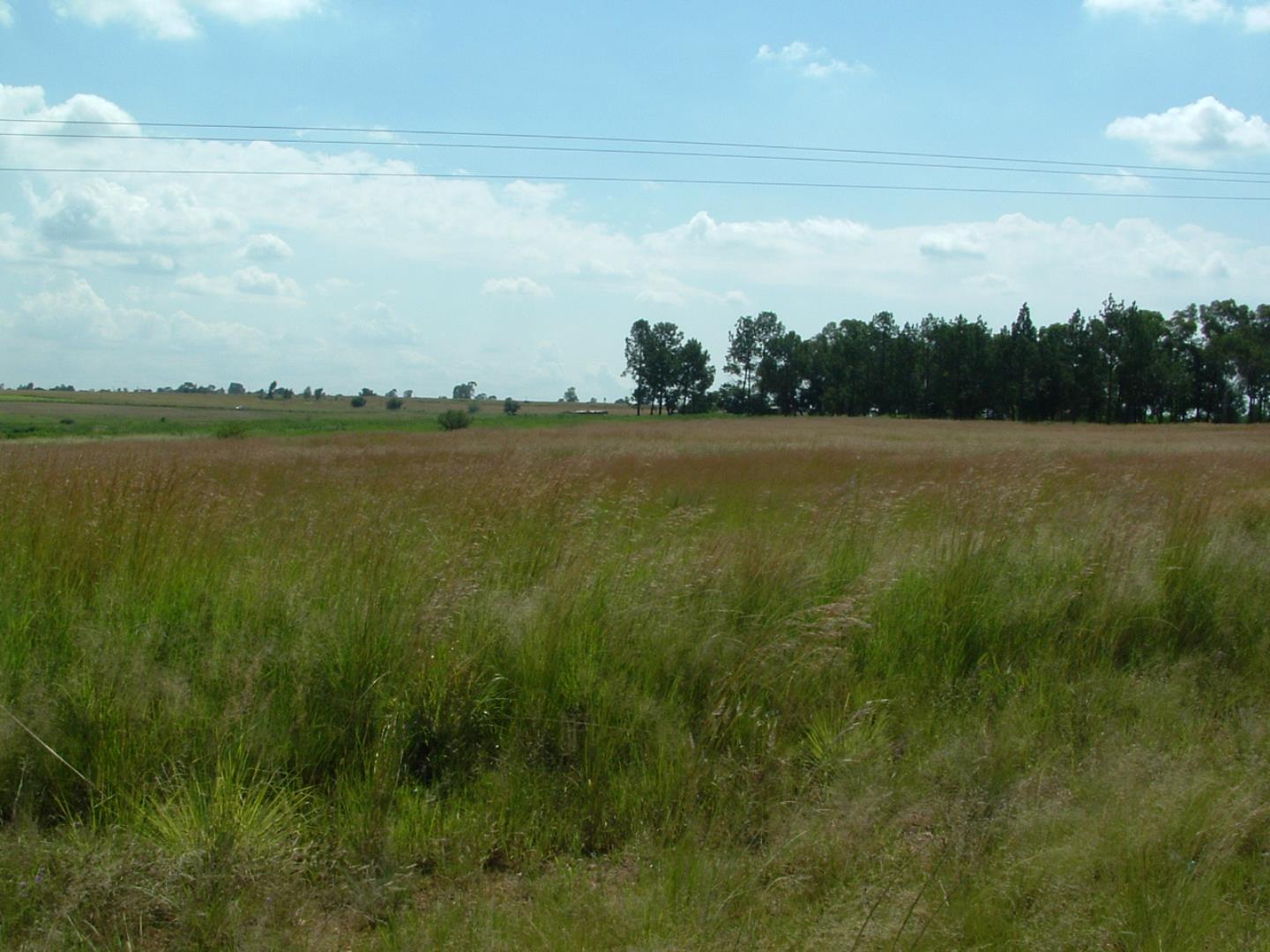 Industrial Property for Sale - Gauteng